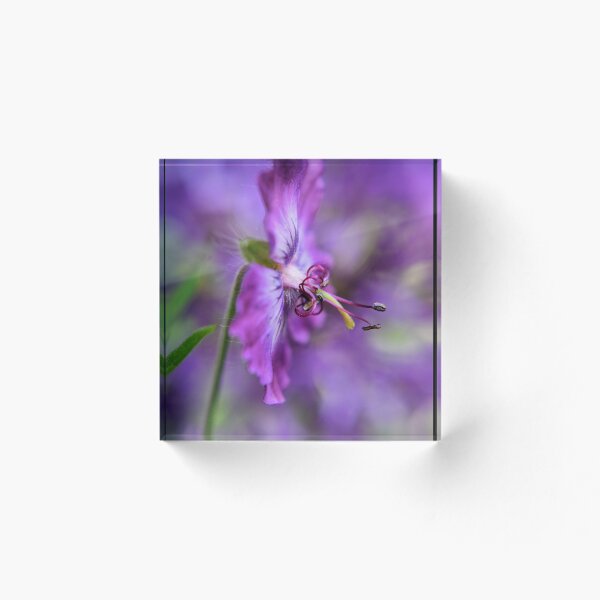 Item preview, Cranesbill Geranium designed and sold by Emma Kimberley.