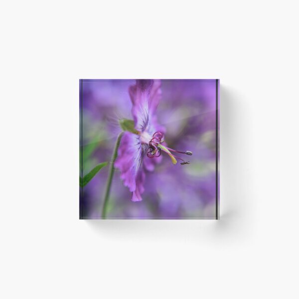 Item preview, Cranesbill Geranium designed and sold by Emma Kimberley.