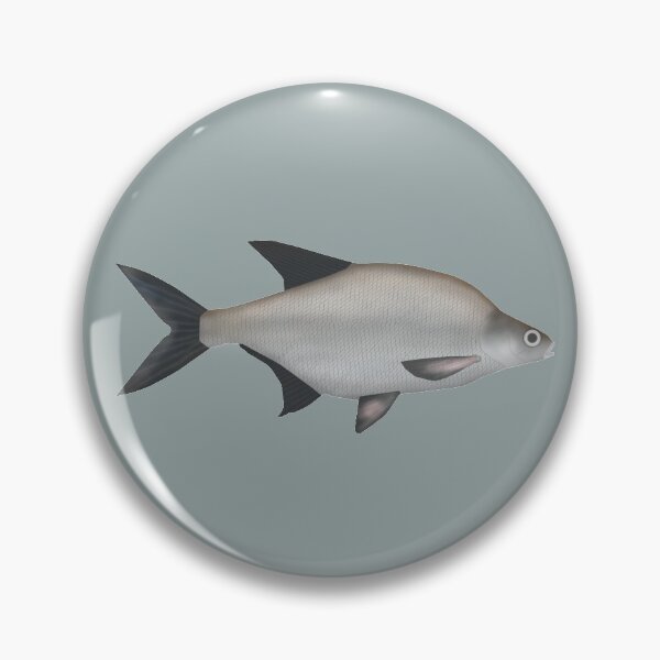 Item preview, Common Bream designed and sold by fishfolkart.