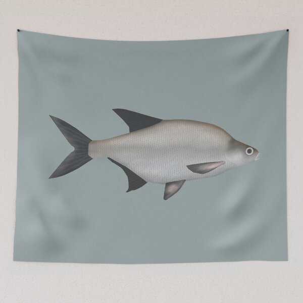 Item preview, Common Bream designed and sold by fishfolkart.