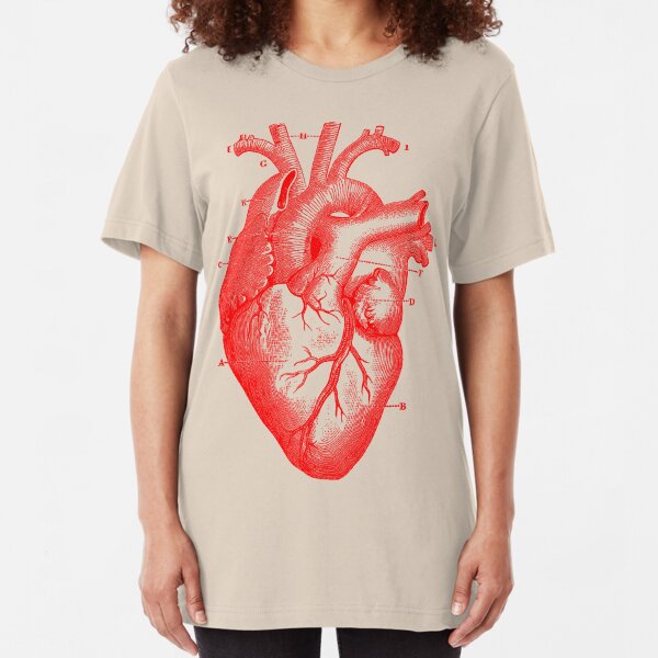 anatomical shirt