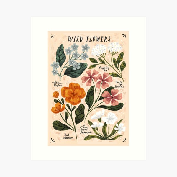 Wild Flowers ~ vol2. Art Print