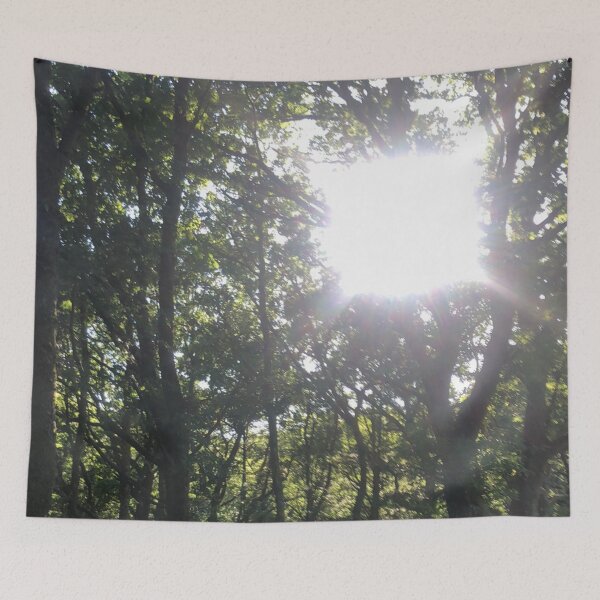 Item preview, Sun peering through the forest designed and sold by priceybrah1993.