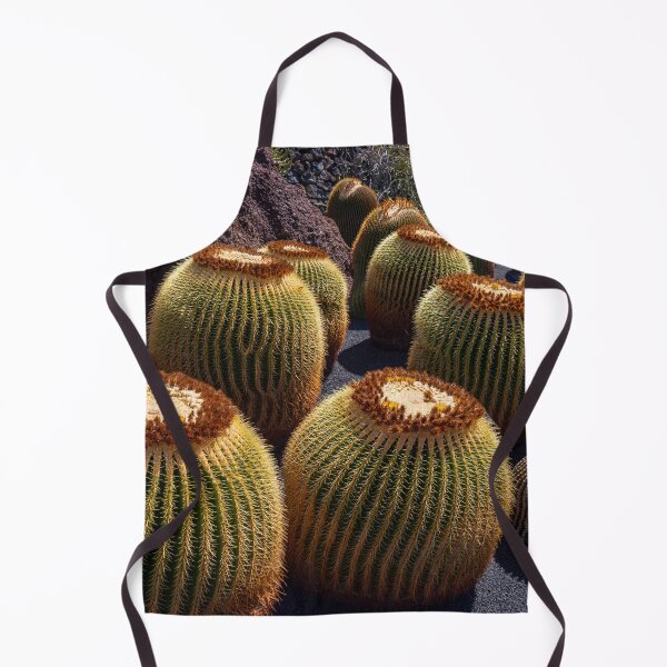 Item preview, Golden Barrel Cactus designed and sold by iCimages.net.