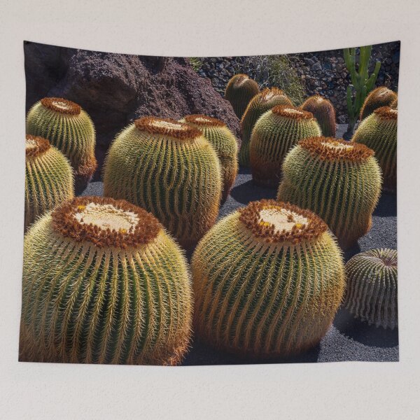 Item preview, Golden Barrel Cactus designed and sold by iCimages.net.