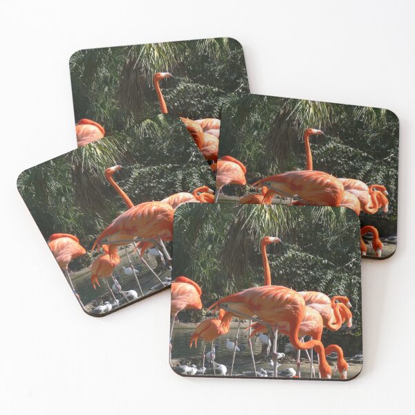 Item preview, Flamenco rosado del Caribe en Busch Gardens designed and sold by Monika's Shop.