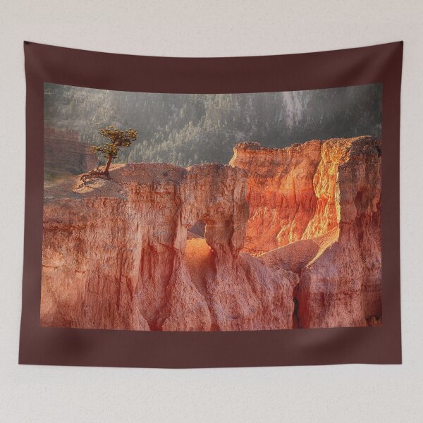 Item preview, Tenacity - Bryce Canyon National Park, Utah designed and sold by Kathy Weaver.