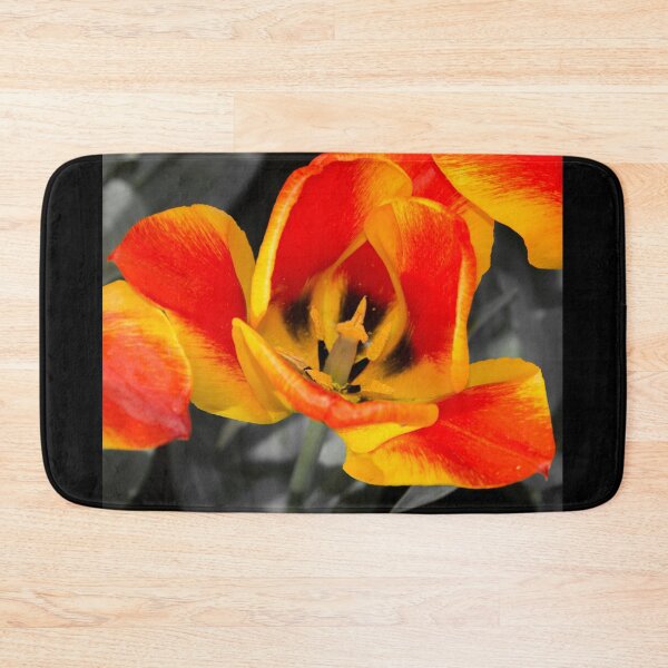 Item preview, Tulip Macro  designed and sold by hawkie.