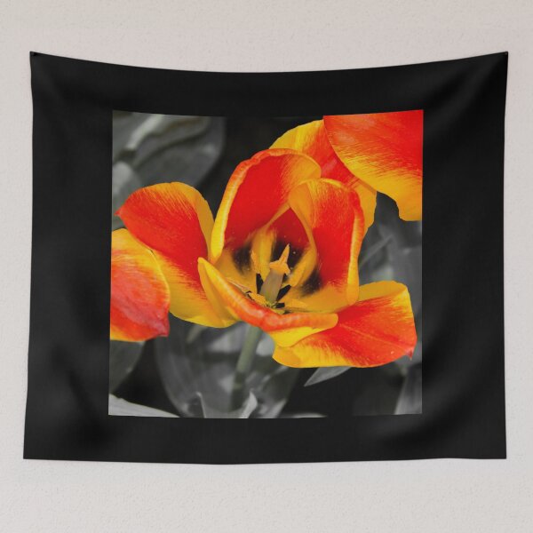 Item preview, Tulip Macro  designed and sold by hawkie.