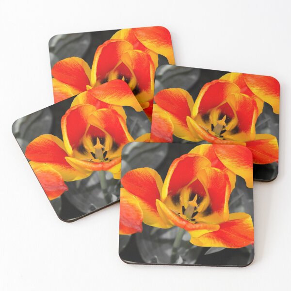 Item preview, Tulip Macro  designed and sold by hawkie.