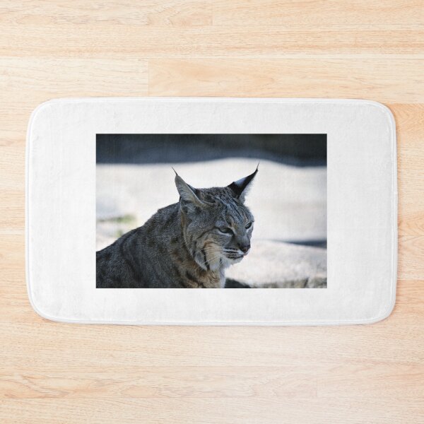 Item preview, Bobcat relaxing designed and sold by WHemporium.