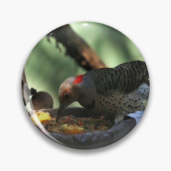 Item preview, Flicker picking seeds designed and sold by WHemporium.