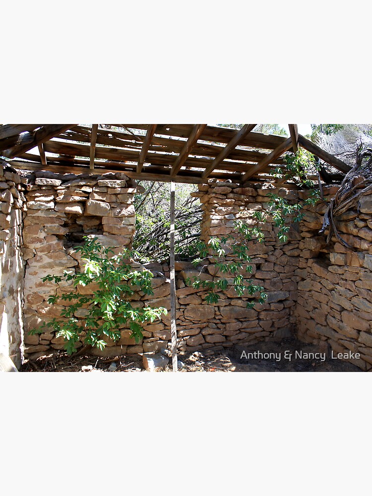 "Inside old Miners Cabin Reno Nevada USA" Canvas Print for Sale by