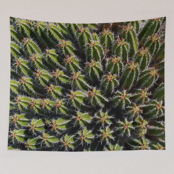 Item preview, Prickly cactus designed and sold by iCimages.net.