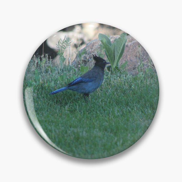 Artikelvorschau, Stellers Jay entworfen und verkauft von DonSchofield.