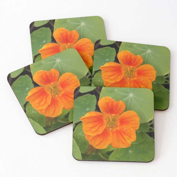 Item preview, Nasturtium designed and sold by JayAceAro.