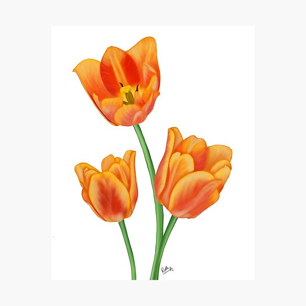 Item preview, Tulips designed and sold by Ruth Abramczyk.
