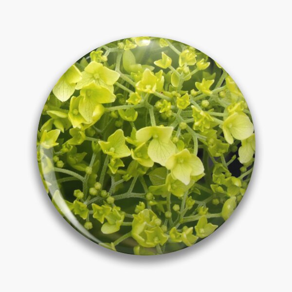 Item preview, Green-white-flowered hydrangeas as a textured pattern against a dark background designed and sold by Hubiundhubi.