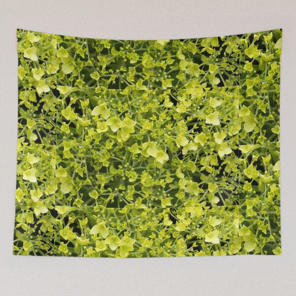 Item preview, Green-white-flowered hydrangeas as a textured pattern against a dark background designed and sold by Hubiundhubi.