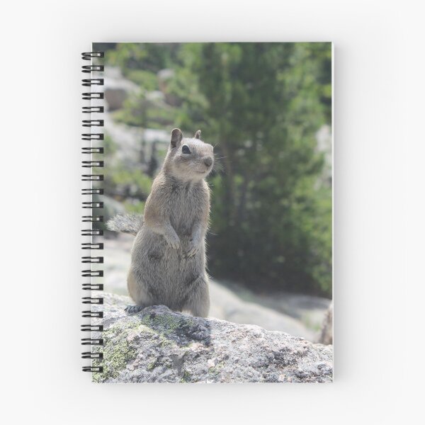 Item preview, Golden-Mantled Ground Squirrel designed and sold by DonSchofield.