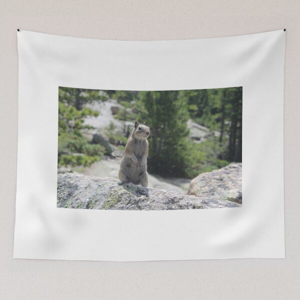 Item preview, Golden-Mantled Ground Squirrel designed and sold by DonSchofield.