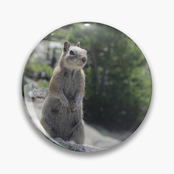 Item preview, Golden-Mantled Ground Squirrel designed and sold by DonSchofield.