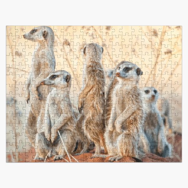 African Wildlife - Meerkat Clan Jigsaw Puzzle