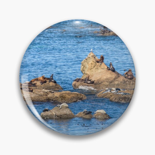 Item preview, Simpson Reef 0958 designed and sold by Kristina Rinell.