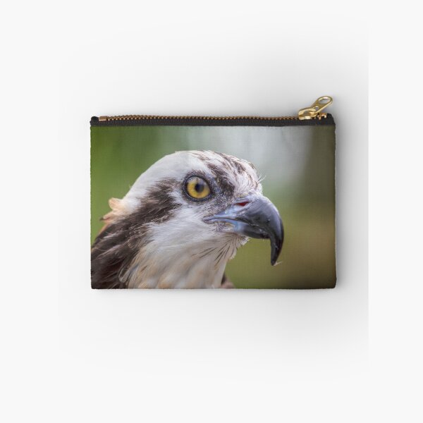 Item preview, Osprey Portrait designed and sold by Kristina Rinell.