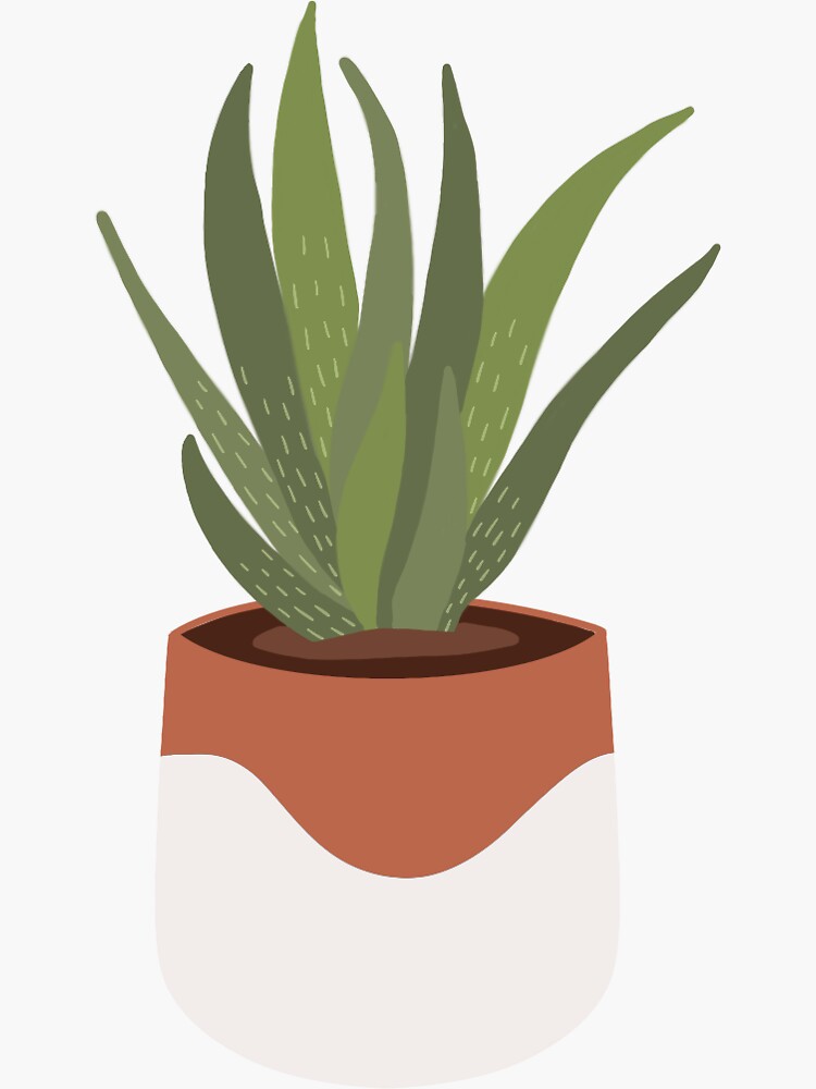 Thumbnail 3 of 3, Sticker, Aloe Vera designed and sold by riley17.