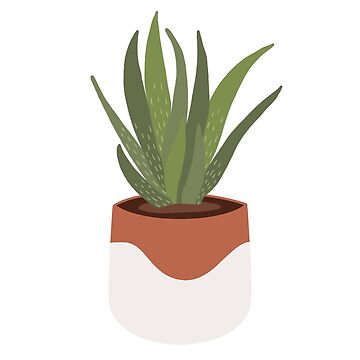 Artwork thumbnail, Aloe Vera by Riley Rittenhouse