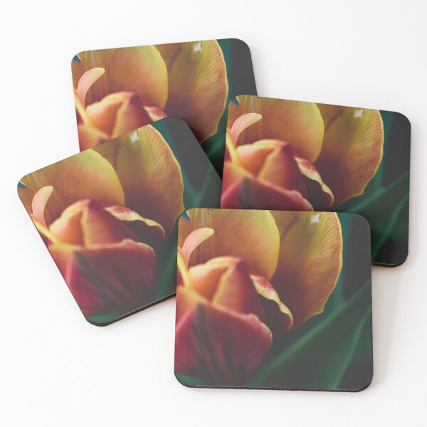 Item preview, The beautiful yellow red tulip | Flower | Macro photography | 2023  designed and sold by aloresarts.