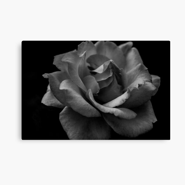 Item preview, Colorless Beauty designed and sold by Neha  Gupta.