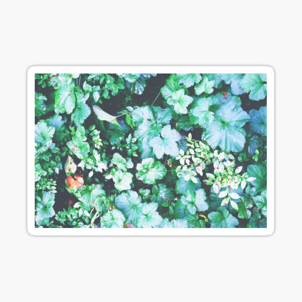 Forest plants green pattern Sticker
