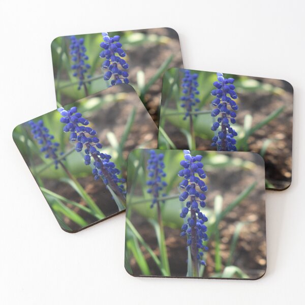 Item preview, Preety | purple | hyacinth | Flower | floral | 2023 designed and sold by aloresarts.