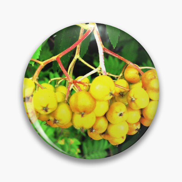Item preview, Yellow Berries designed and sold by merrychris.