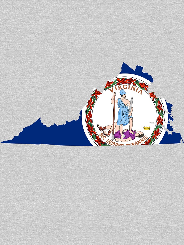 Disover Virginia | Flag State | SteezeFactory.com | Essential T-Shirt
