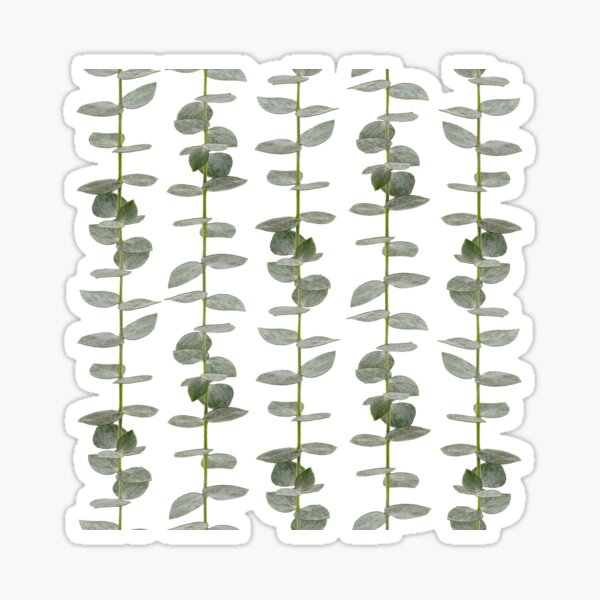 Item preview, Eucalyptus Branch Pattern - real botanic patterns - Naturally Beautiful Eucalyptus Leaves designed and sold by TurningMoss.