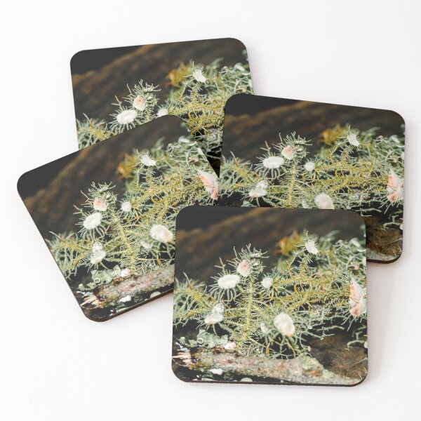 Item preview, Moss designed and sold by CatyMetz.