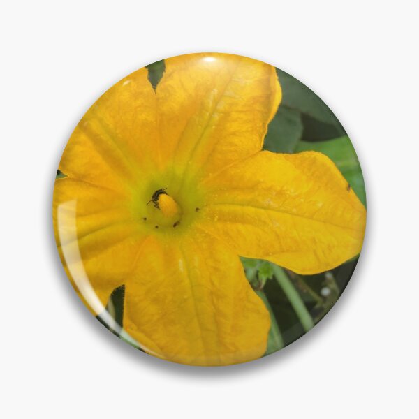 Item preview, Pumpkin blossom designed and sold by travelplannerLD.