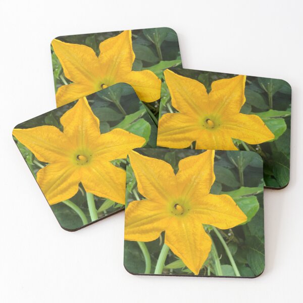 Item preview, Pumpkin blossom designed and sold by travelplannerLD.