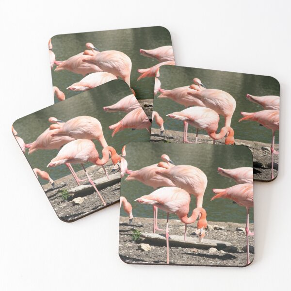 Item preview, Greater Flamingo Family designed and sold by XCEEDTRANSITION.