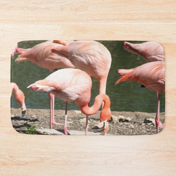 Item preview, Greater Flamingo Family designed and sold by XCEEDTRANSITION.