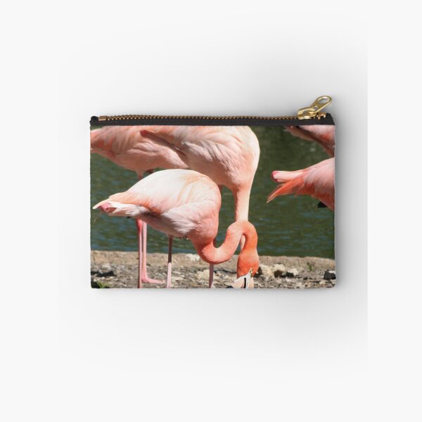 Item preview, Greater Flamingo Family designed and sold by XCEEDTRANSITION.