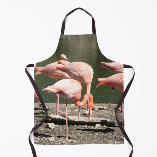 Item preview, Greater Flamingo Family designed and sold by XCEEDTRANSITION.