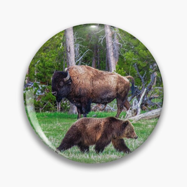 Item preview, Bear and Bison Self Confidence designed and sold by Tim Thompson.