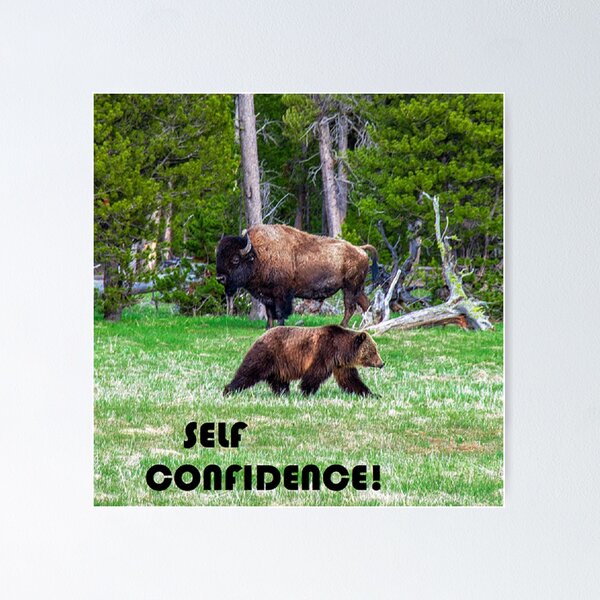Item preview, Bear and Bison Self Confidence designed and sold by Tim Thompson.
