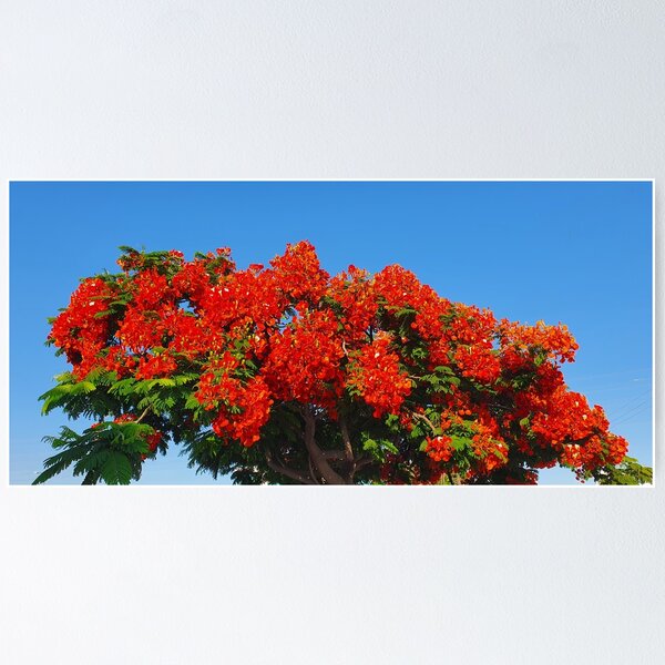 Item preview, red tree and blue sky designed and sold by OI Designs.