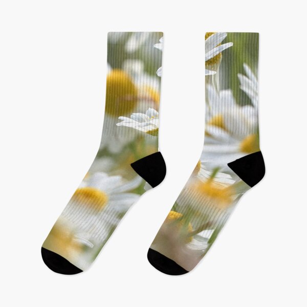 Item preview, Field of daisies designed and sold by MikeCaffrey.