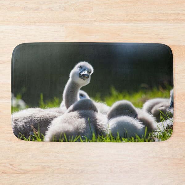 Item preview, Cygnets lying in the sun designed and sold by MikeCaffrey.